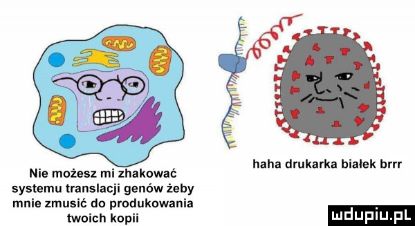 nie możesz mi zhakować systemu translacji genów żeby mnie zmusić do produkowania twoich kop haba drukarka białek birr