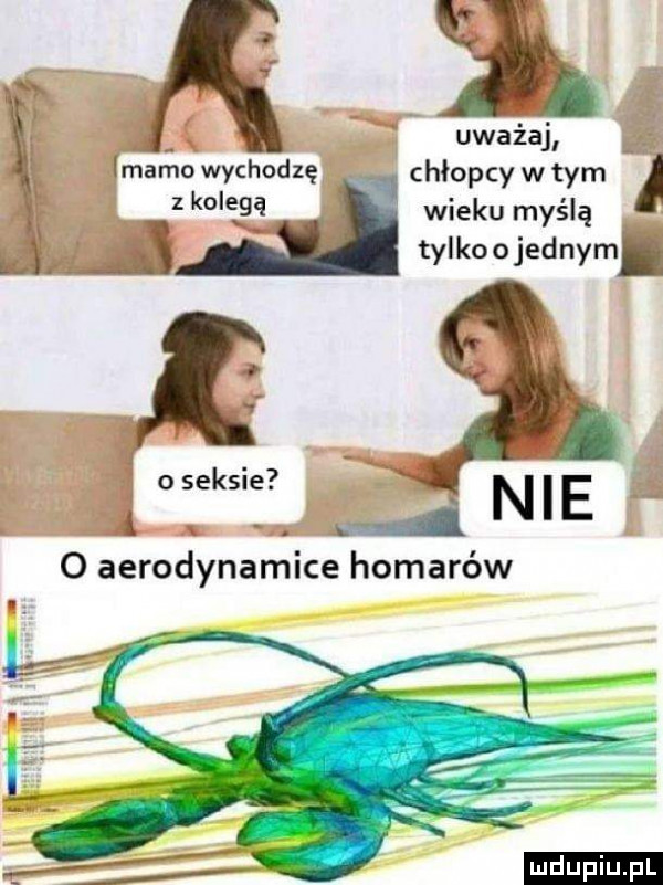 l uważaj mamo wychodzę chłopcy w tym   ko ę-ą wieku myślą. l. s tylkoolednym. oleksie ł. a nie o aerodynamice homarów ludu iu. l