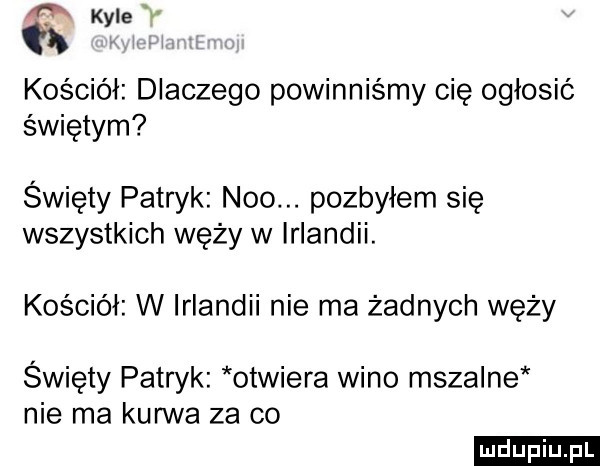 kale v kościół dlaczego powinniśmy cię ogłosić świętym święty patryk neo. pozbyłem się wszystkich węży w irlandii. kościół w irlandii nie ma żadnych węży święty patryk otwiera wino mszalne nie ma kurwa za co