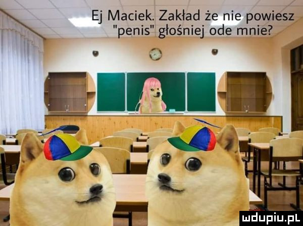 ej maciek. zakład że nie powiesz penis głośniej ode mnie