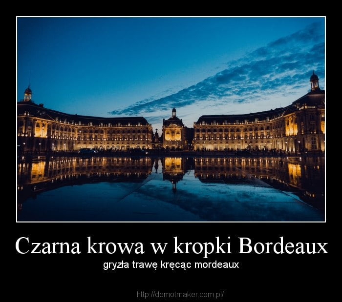 i mvwwqgvgws wą. czarna krowa w kropki bordeaux gryzla trawę kręcąc mordeaux hm wmmmw mm