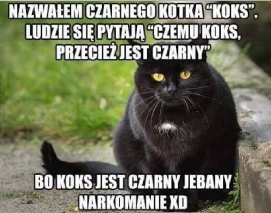 immieem giaiiiięihi koks. llllllię się puma glemll koks. plllegih ihs i giaiiiiy l.   u l j