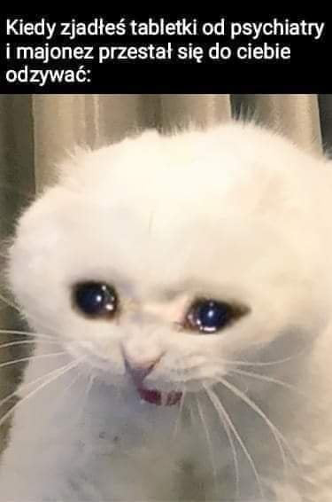 kiedy zjadłeś tabletki od psychiatry i majonez przestał się do ciebie odzywać ilf