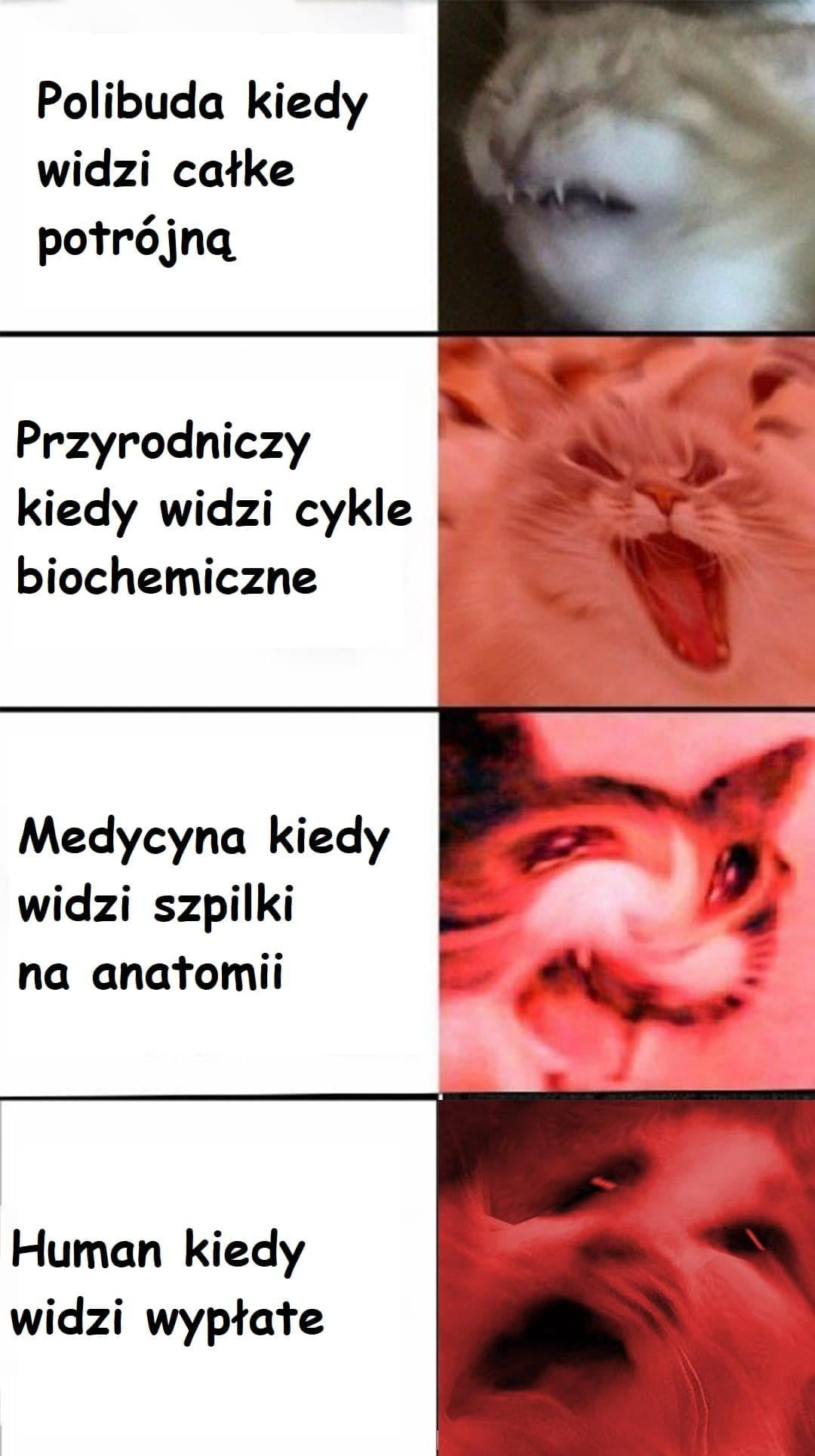 polibuda kiedy widzi całce potrójną przyrodniczy kiedy widzi cykle biochemiczne medycyna kiedy pf widzi szpilki c  . na ana omii human kiedy widzi wyżła łe