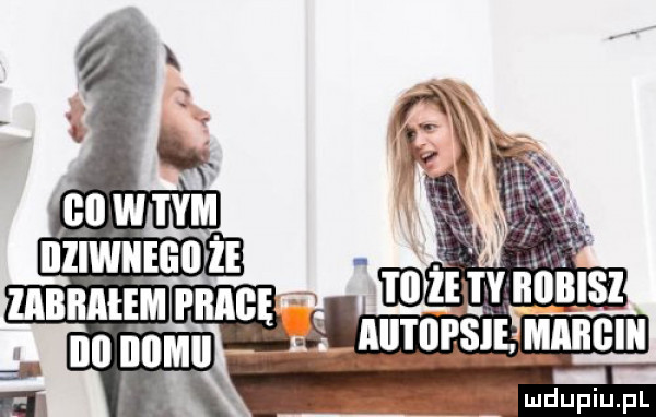 v f ludupiu. pl