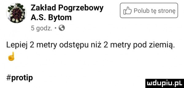 zakład pogrzebowy  . a s. bytom   godz. lepiej   metry odstępu niż   metry pod ziemią. d protip ludu iu. l