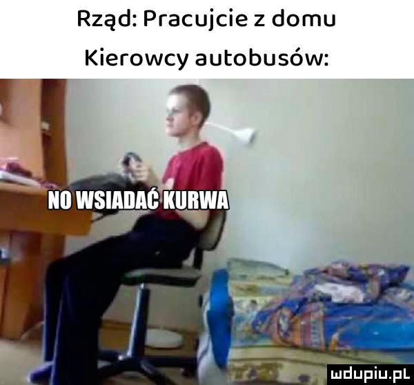 rząd pracujcie z domu kierowcy autobusów