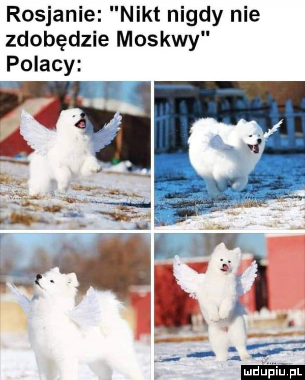 rosjanie nikt nigdy nie zdobędzie moskwy