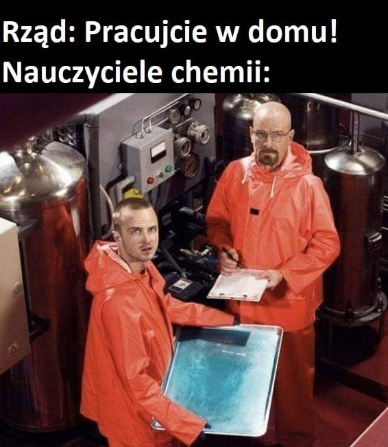 rząd pracujcie w domu nauczyciele chemii