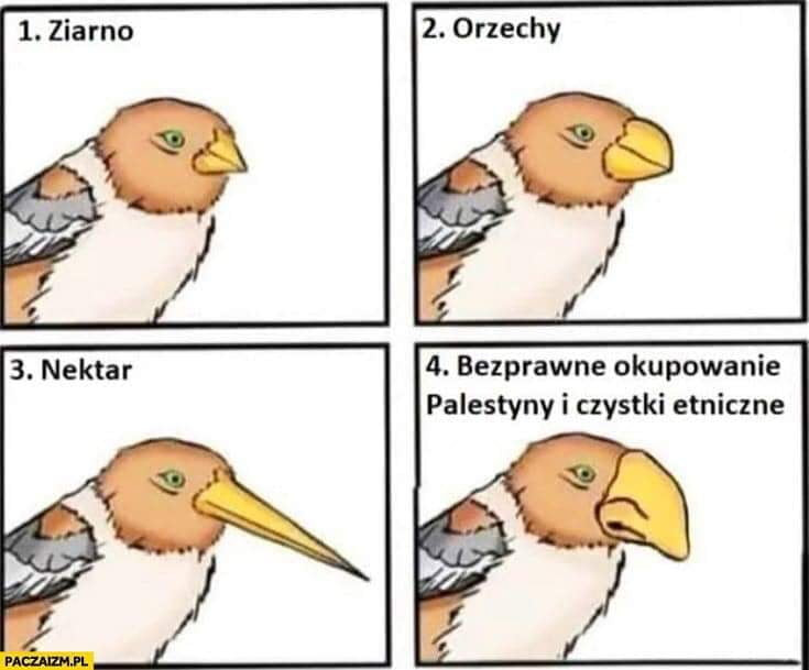 bezprawne okupowanie palestyny i czystki etniczne
