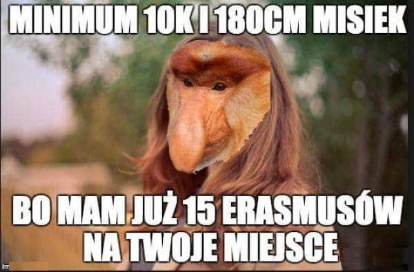iiiiii iiiiii waf wiem iiisieii. bai mm iii    emshiisów iii i wicie iiieisiie