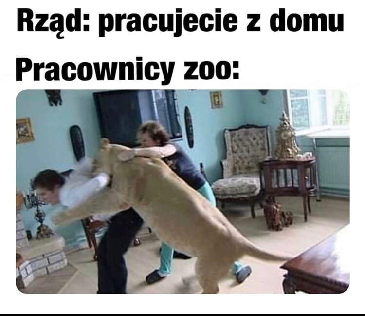 Z domu