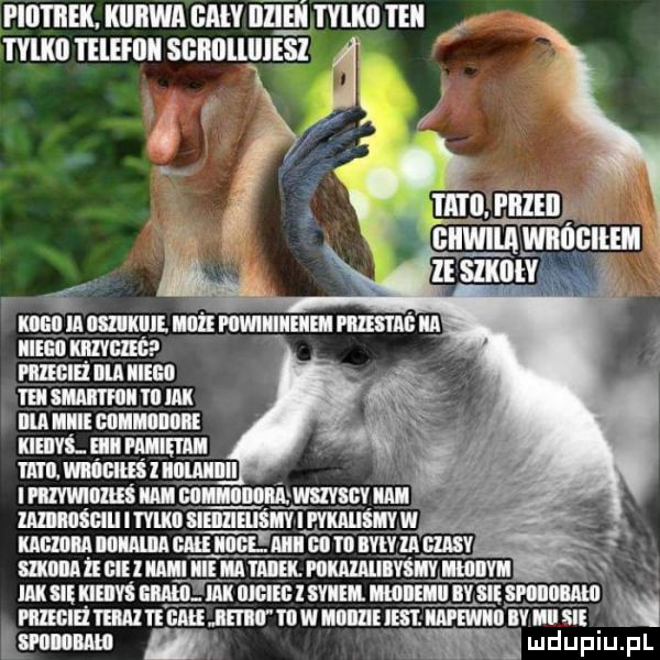 plii i icek kurwa ﬂalv iilihi i vlkﬂ ten i vlkij tllefllii sbiiijllillesl klllśll ia mad uhli pllwiiiieiiem rumu ia. iiiegii indie mgm ilia iieiii tai mma vii ak nm icie common kieiivl elli mami wi. mimu i iiiilaliiii melu tomi te gm nin mw nin mew iv sci ke sio nam ma mdupiu. pl