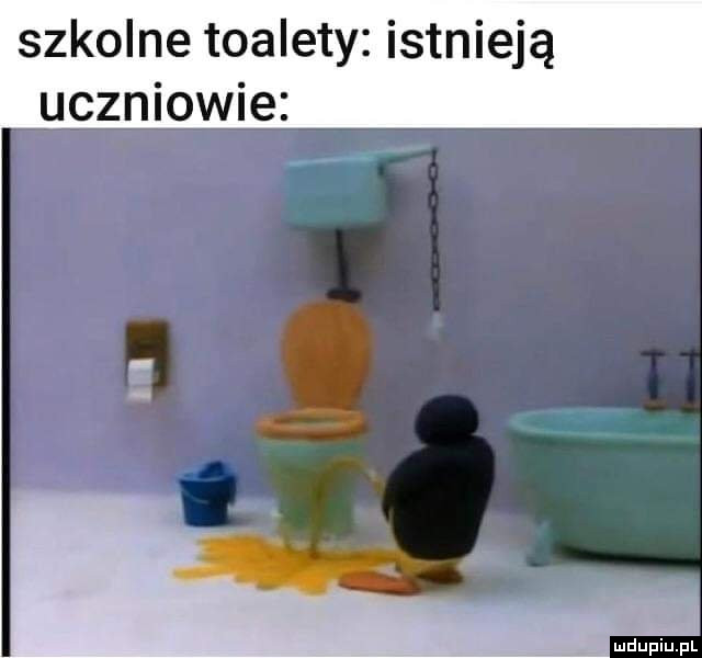 Szkolne toalety