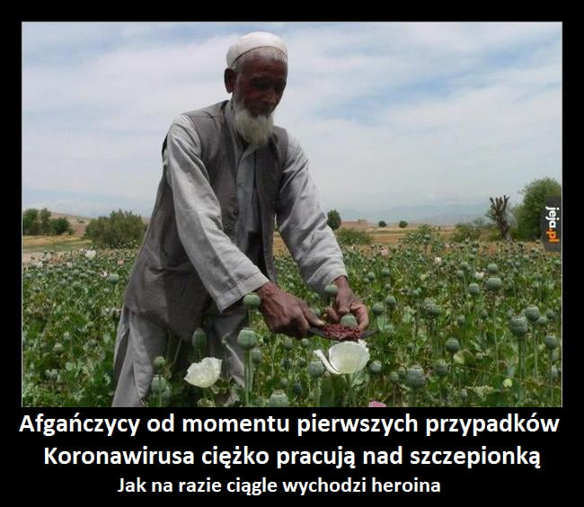 afgańczycy od momentu pierwszych przypadków koronawirusa ciężko pracują nad szczepionką jak na razie ciągle wychodzi heroina