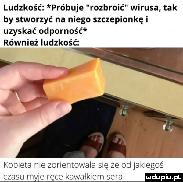 ludzkość próbuje rozbroić wirusa tak by stworzyć na niego szczepionkę i uzyskać odporność również ludzkość krs kobieta nie zorientowała się że  d jakiegoś czasu my e ręce kawałkiem sera em