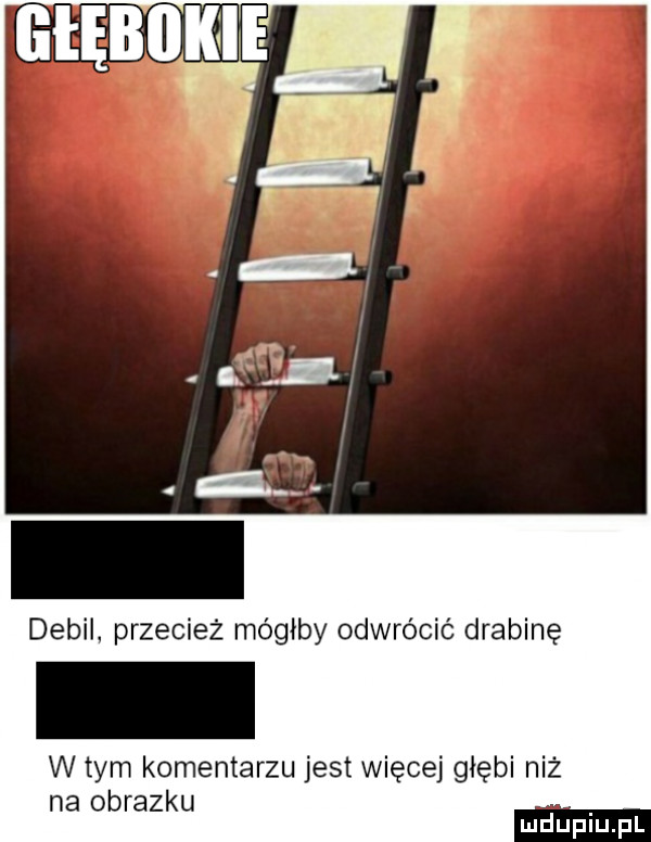 debil przecież mógłby odwrócić drabinę w tym komentarzu jest więcej głębi niż na obrazku