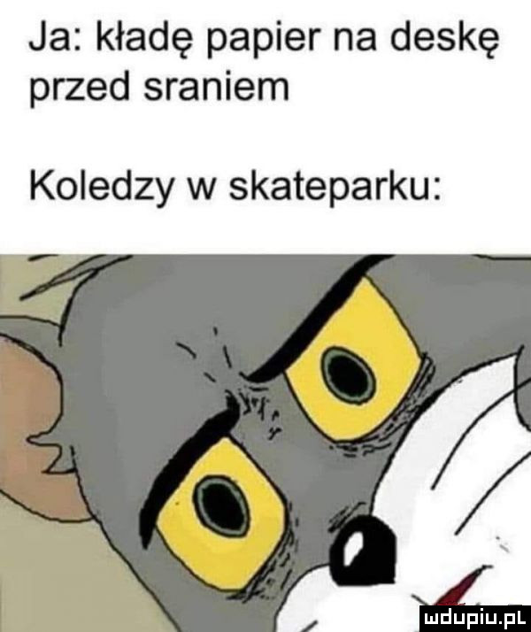 ja kładę papier na deskę przed sraniem koledzy w skateparku