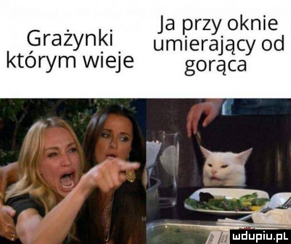 abakankami ja rzy oknie grazynky umęjerający od ktorym wieje gorąca