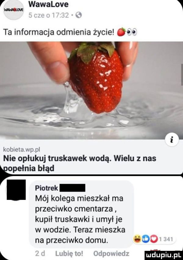 v wawalove x w. ta informacja odmienia życie   mam wp nie opłukuj truskawek wodą. wielu z nas fopelnia błąd. piotrek mój kolega mieszkał ma przeciwko cmentarza kupił truskawki i umył je w wodzie. teraz mieszka na przeciwko domu. óuo
