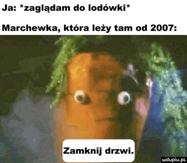 Zaglądam do lodówki