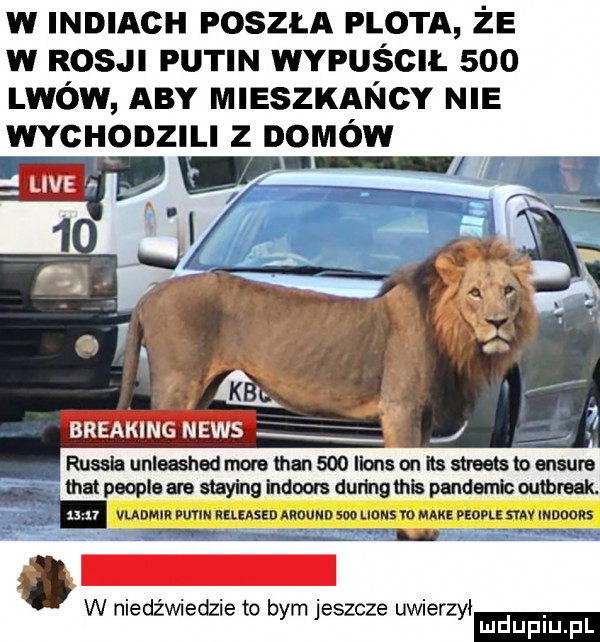 w indiach poszla flota że w rosji putin wypuscil     lwów aby mieszkancy nie wychodzili z domów wunimhednm ma sio llonson it mwmw trat people am myk g mm dumg ink pandemia wan k. w niedźwiedzie to bym jeszcze uwierzyi ludu iu. l