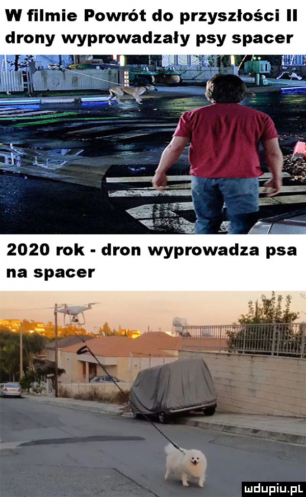 w filmie powrót do przyszłości ll prowadzaly psy spacer      rok dron wprowadza psa na spacer