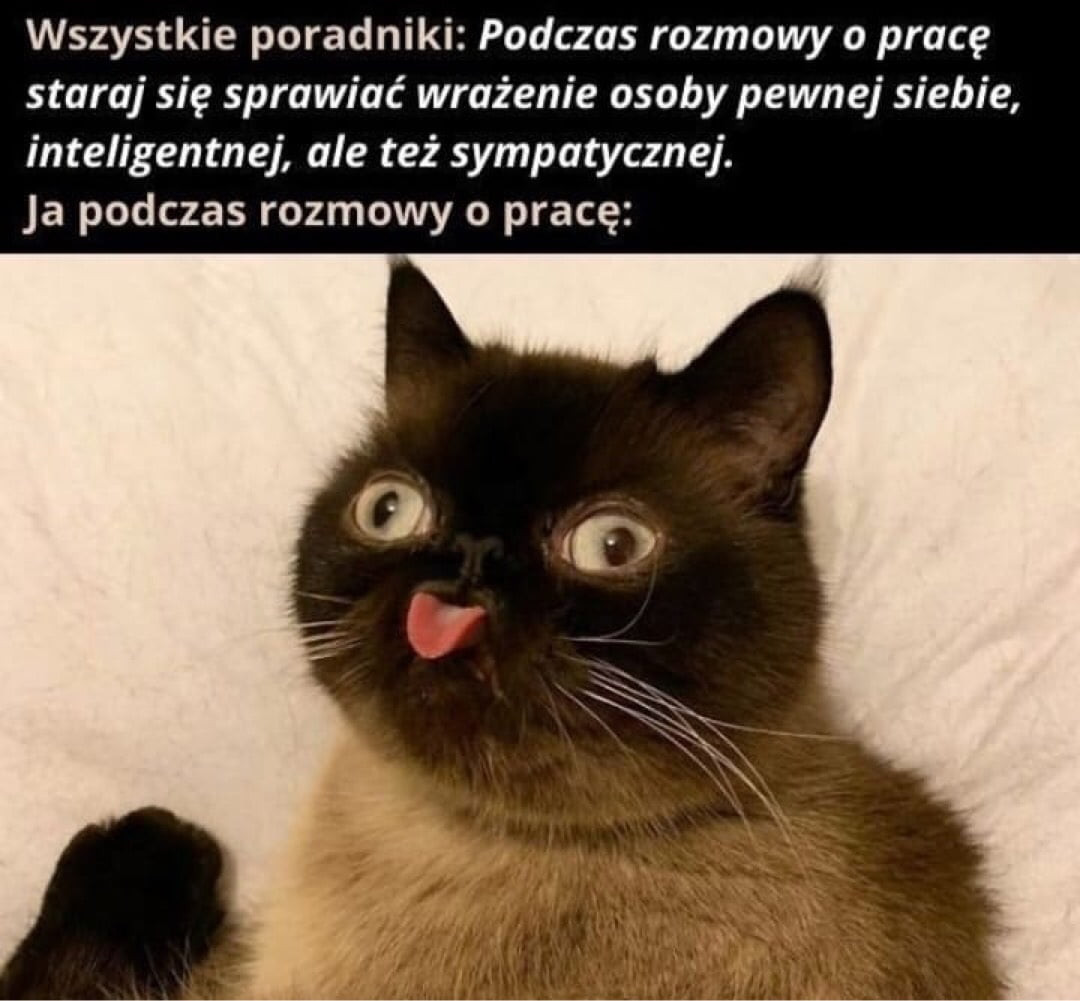 wszystkie poradniki podczas rozmowy o pracę staraj się sprawiać wrażenie osoby pewnej siebie inteligentnej ale też sympatycznej. ja podczas rozmowy o pracę