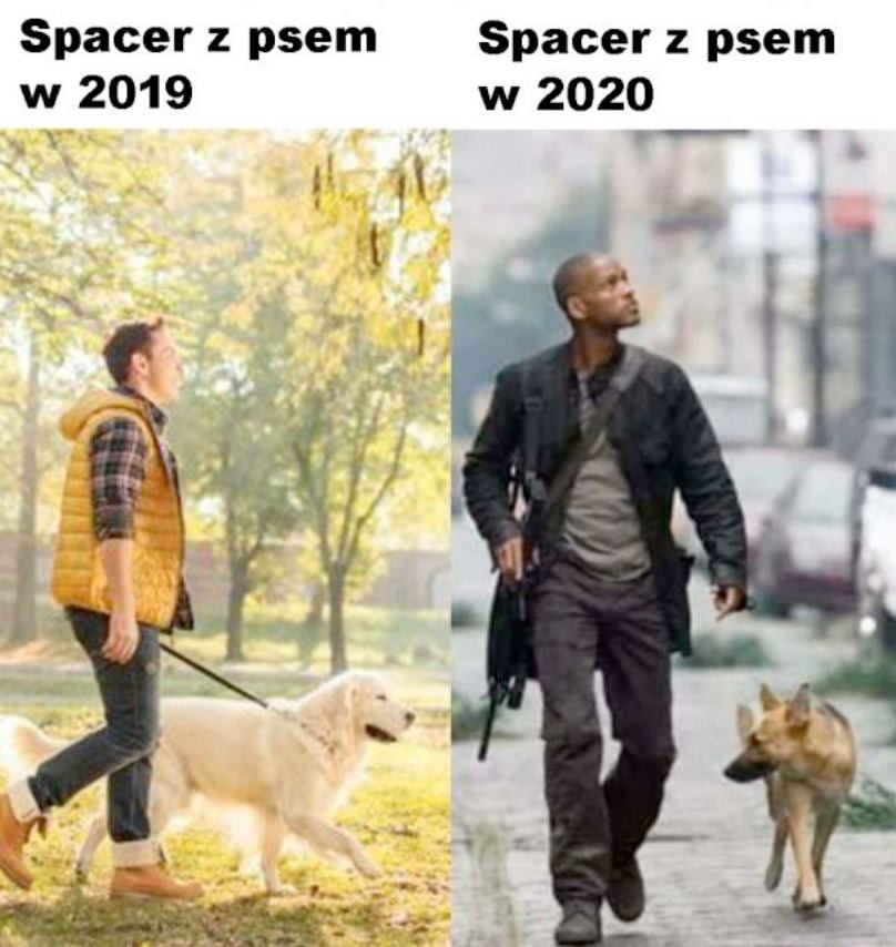 spacer z psem spacer z psem w      w