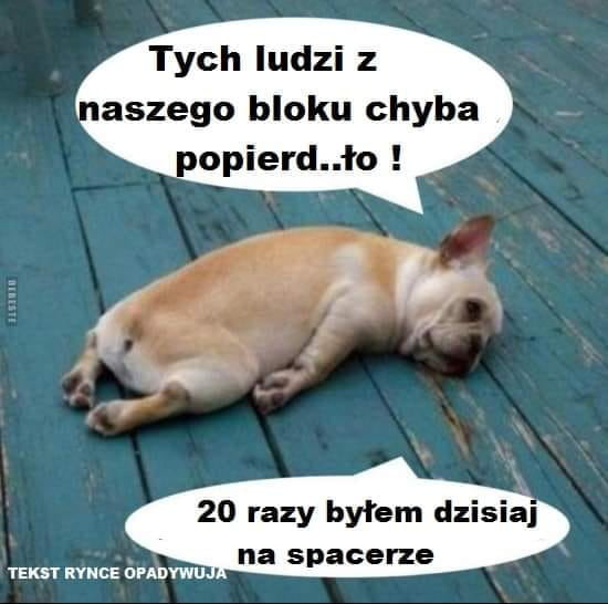 tych ludzi z aszero bloku chyba popierd ło          razy byłem dzisiaj na spacerze tekst rynce dpadywu