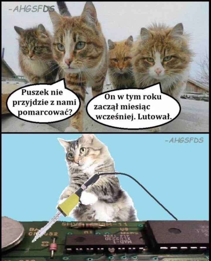 n w tym roku zaczął miesiąc wcześniej. lutowal. przyjdzie złami. omarcować