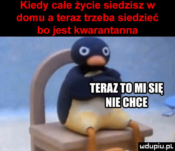 kiedy całe życie siedzisz w domu a teraz trzeba siedzieć bo jest kwarantanna