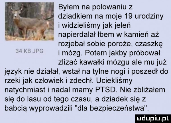 byłem na polowaniu z dziadkiem na moje    urodziny i widzieliśmy jak jeleń napierdalał łbem w kamień aż rozjebał sobie poroże czaszkę   k w i mózg. potem jakby próbował zlizać kawałki mózgu ale mu już język nie działał wstał na tylne nogi i poszedł do rzeki jak człowiek i zdechł. uciekliśmy natychmiasti nadal mamy ptsd. nie zbliżałem się do lasu od tego czasu a dziadek sie z babcią wyprowadzili dla bezpieczeństwa ludu iu. l