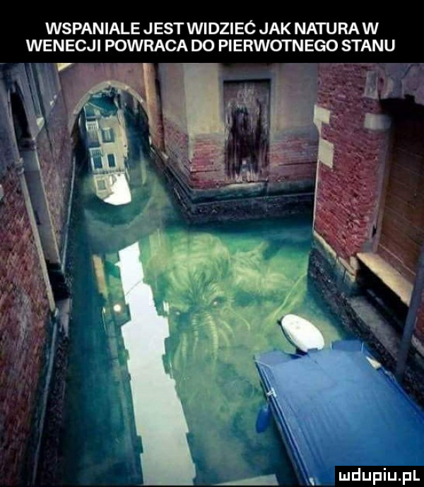 wspaniale jest widziec jak naturaw wenecji powraca do pierwotn ego stanu y