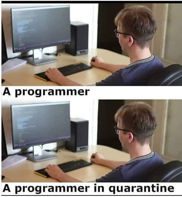 a programmer n quarantine