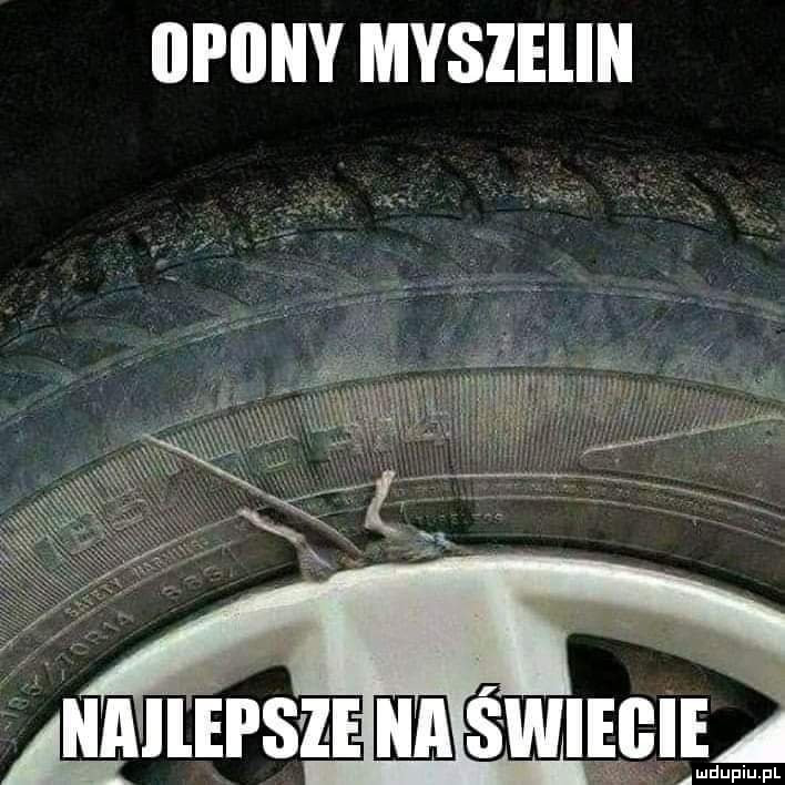 Opony Myszelin
