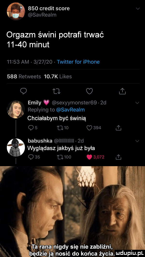 credit shore v savrealm orgazm świni potrafi trwać       minut       am         twitter for iphone     retweets     k limes q a c i. eminy sexyymonster    d v   replying to savrealm chcialabym być świnią q   wo     l. babuszka iiiiiiiiiiii  d v wyglądasz jakbyś już była o    mmo       a ię nie zabliźnip do końca ży a
