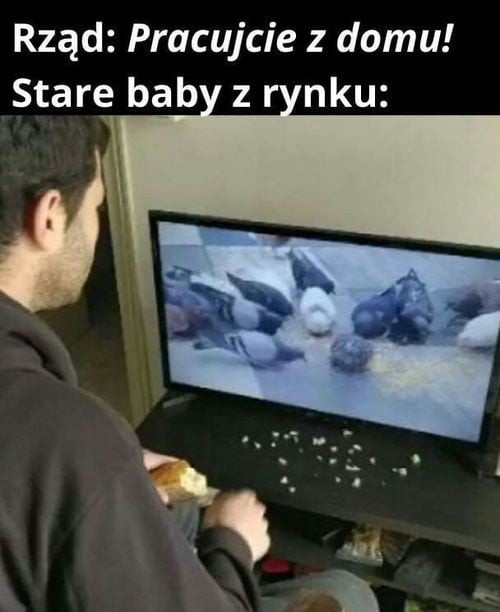 rząd pracujcie z domu stare bab z r nru
